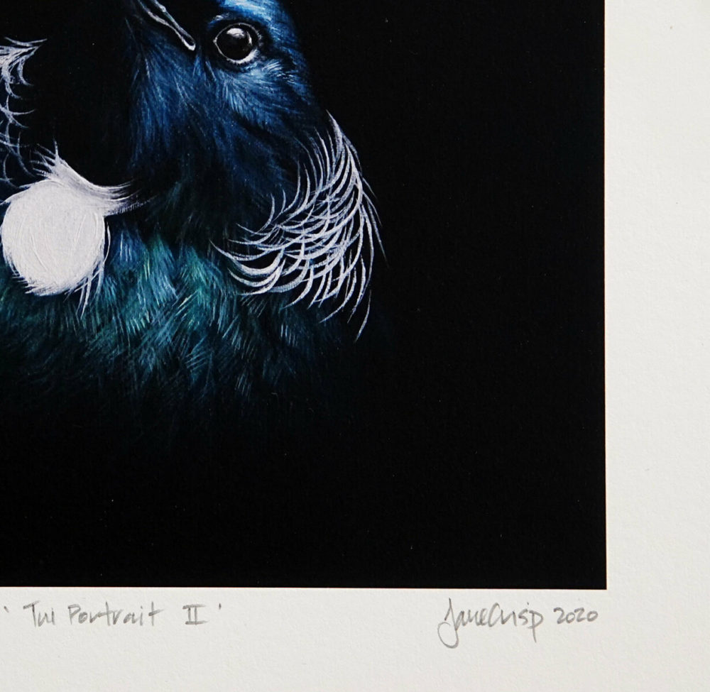 Tui Portrait II