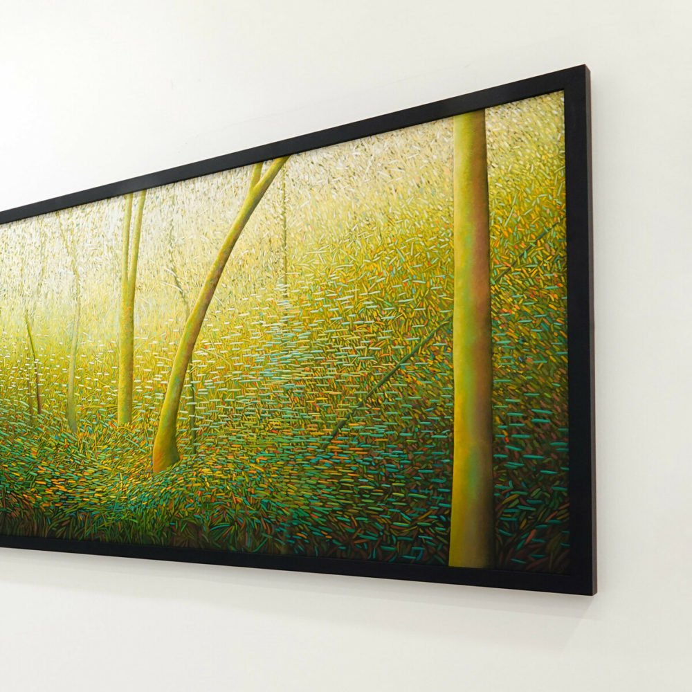 Dancing Light in the Forest