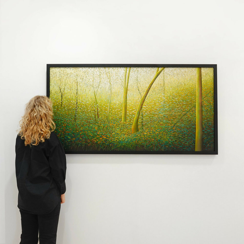 Dancing Light in the Forest