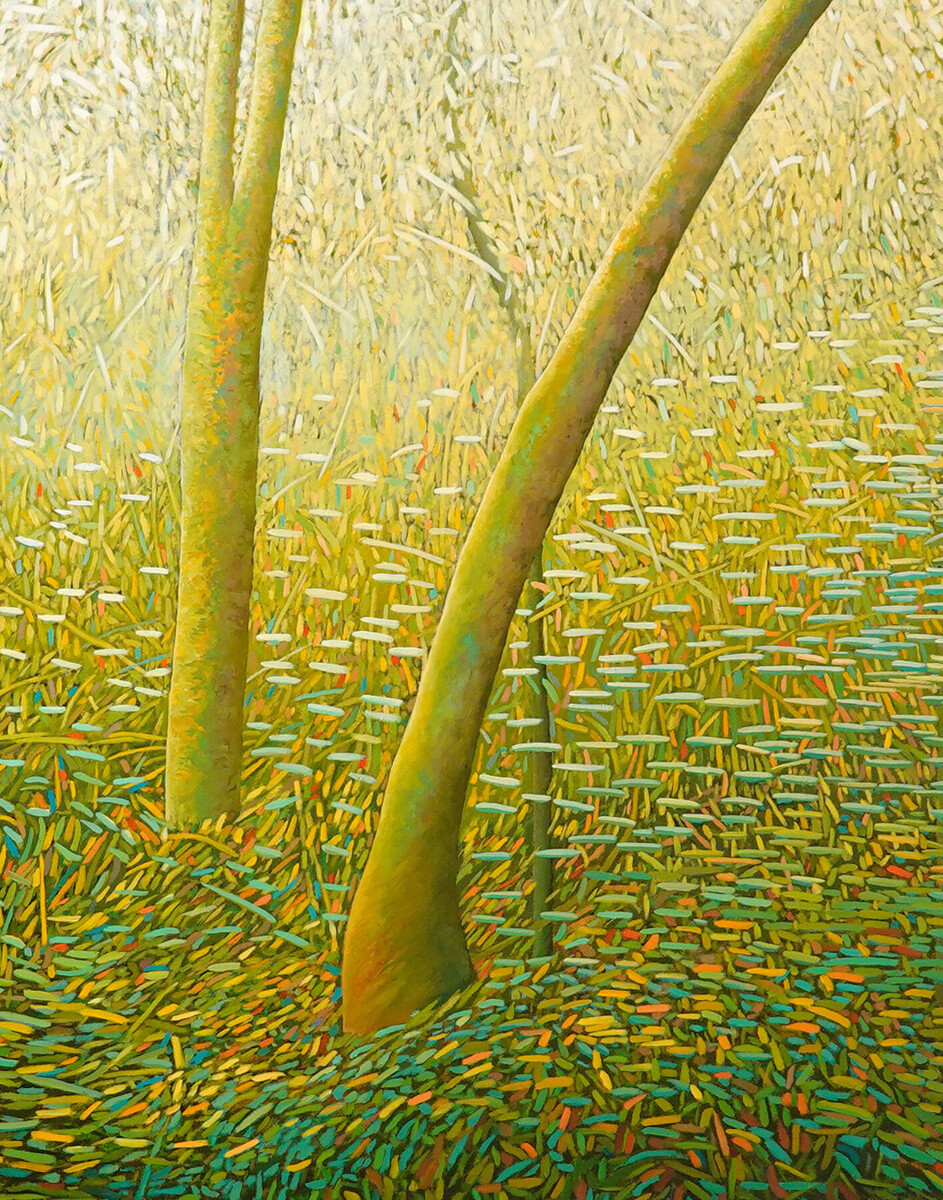 Dancing Light in the Forest