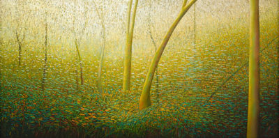 Dancing Light in the Forest