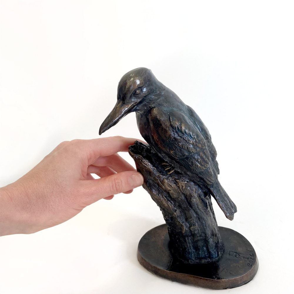 Kingfisher / Kōtare