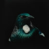 Tui Portrait
