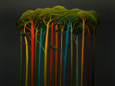 Treesongs at Knights Point