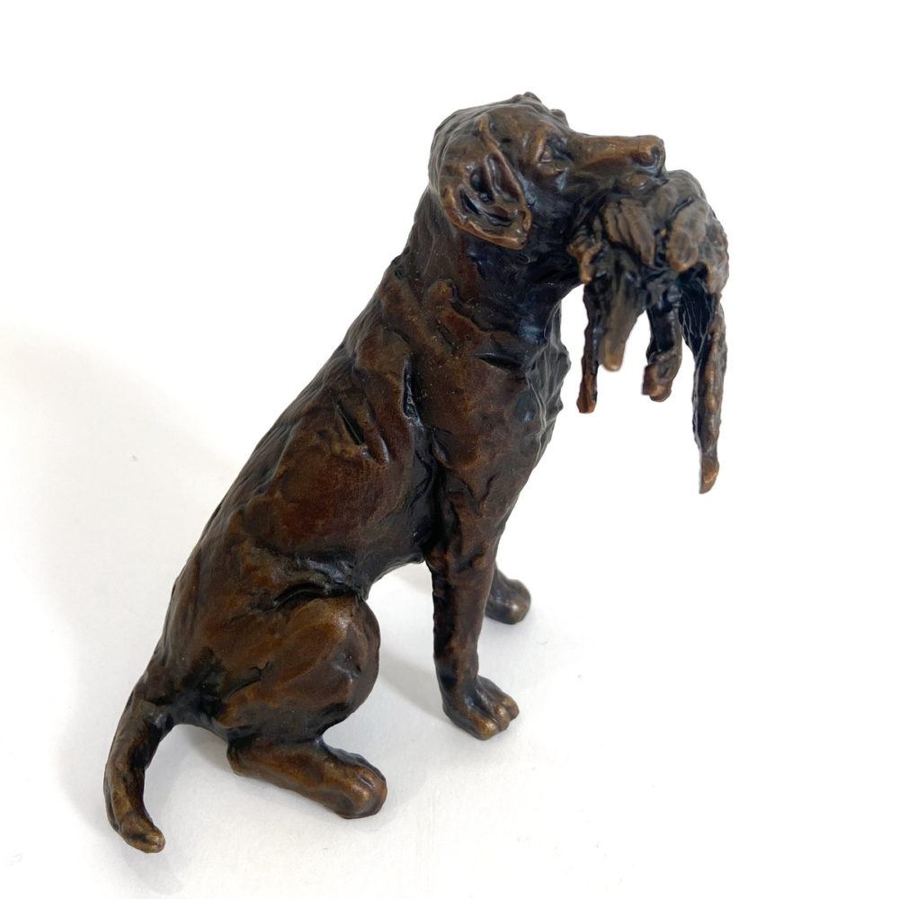 Duck Dog - Miniature