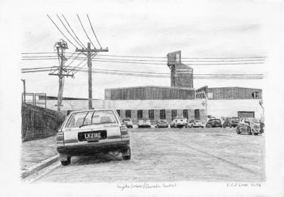 Toyota Corona // Dunedin Central