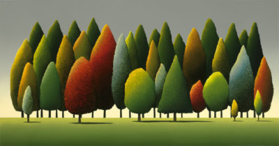 Forest Composition Hanmer