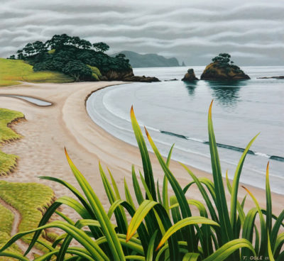 Te Akau (Elliot Bay) Northland