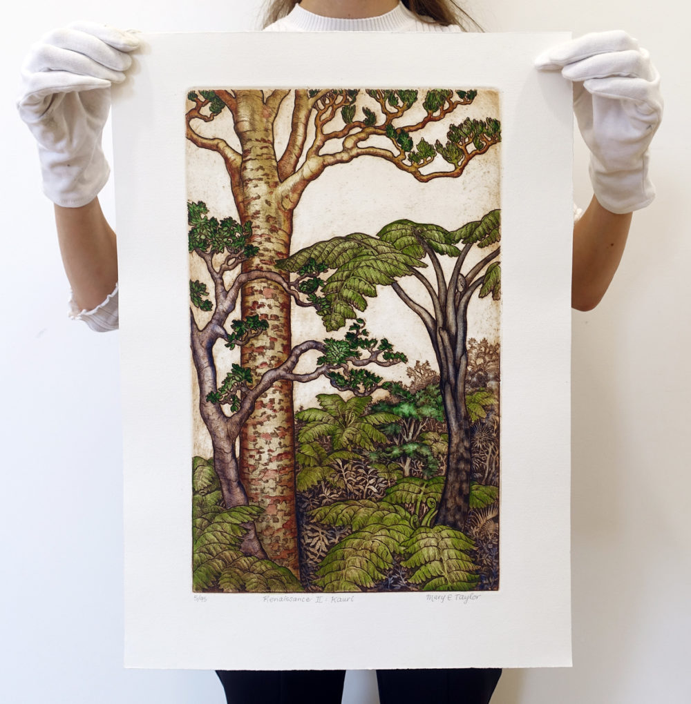 Renaissance II: Kauri