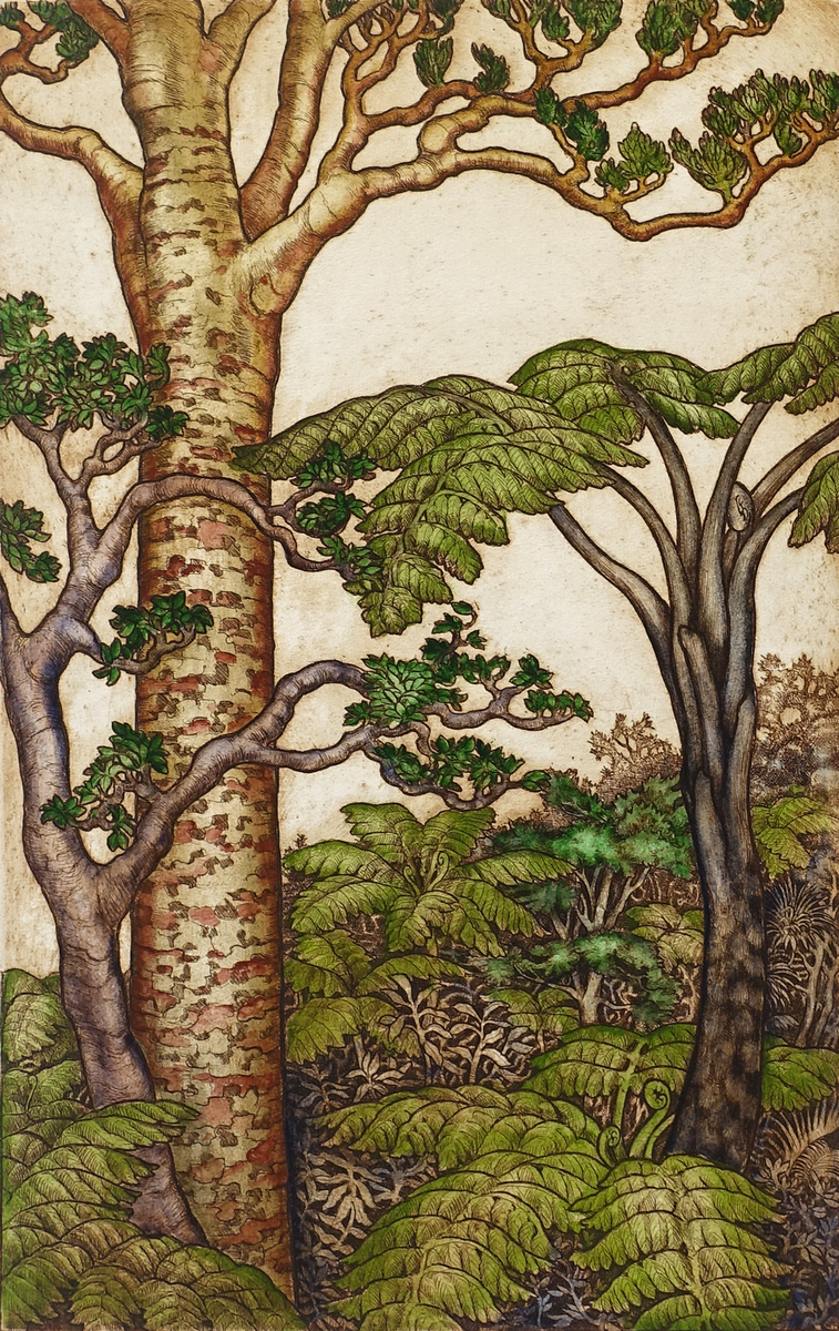 Renaissance II: Kauri