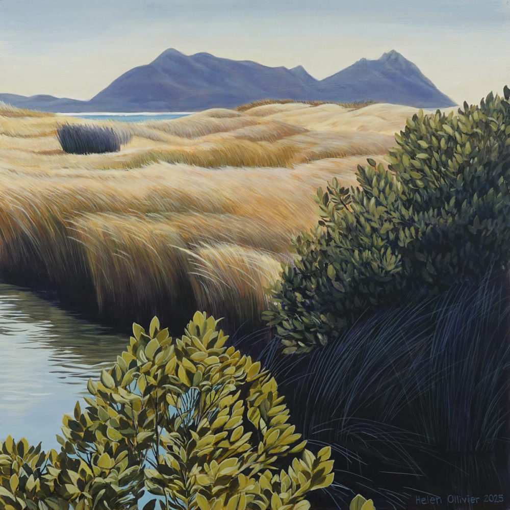 Across the Saltmarsh, Ruakaka