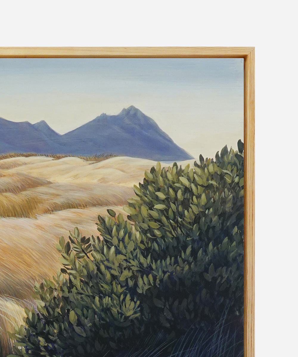 Across the Saltmarsh, Ruakaka