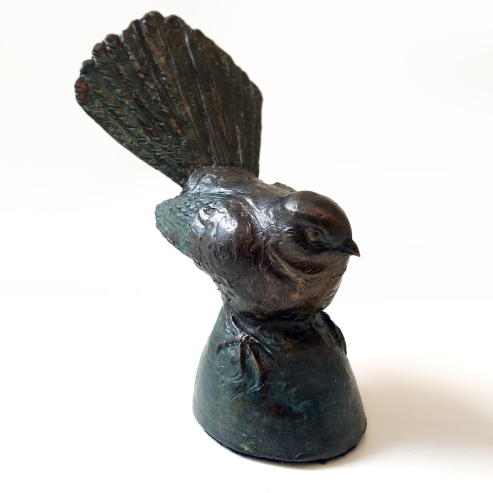 Fantail / Piwakawaka