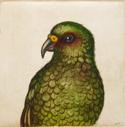 Kea Portrait