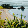 Te Akau (Elliot Bay), Northland