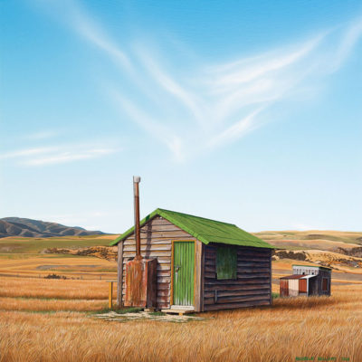 Little Green Roof Hut, NZ