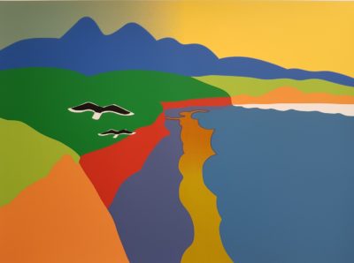 Blackback Gulls over Back Beach