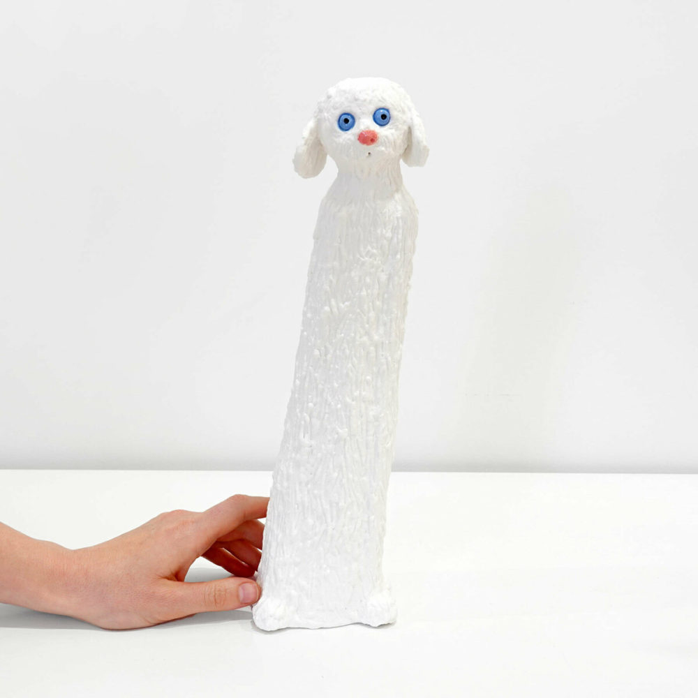 White Fluffy Dog