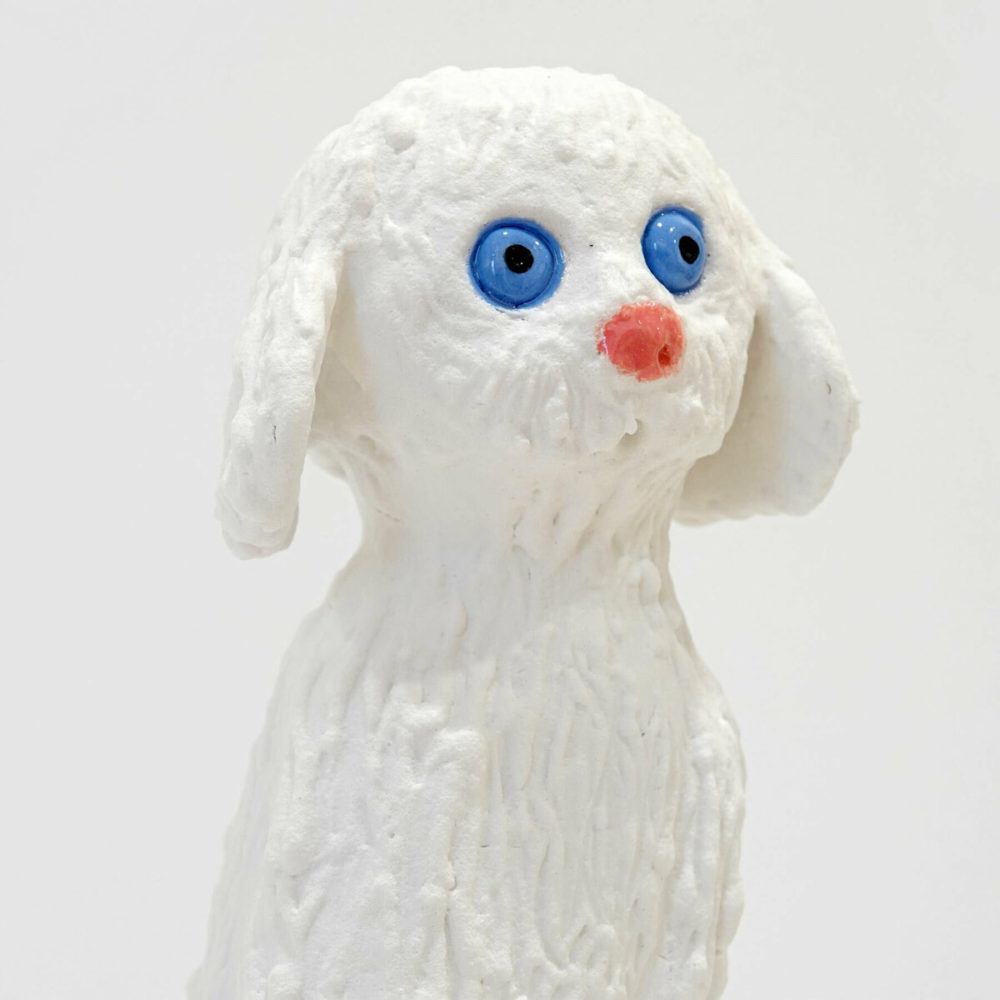 White Fluffy Dog