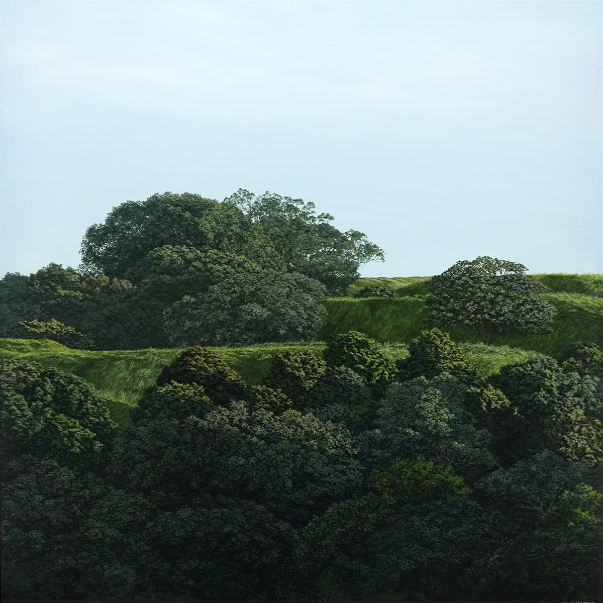 Eden (Maungawhau/Mt Eden)