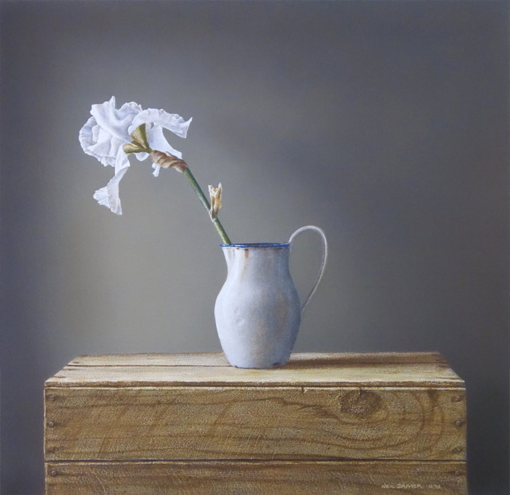 Iris in Enamel Jug
