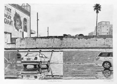 Corolla // Eden Terrace