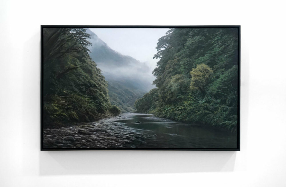 Anini Stream, Te Urewera National Park