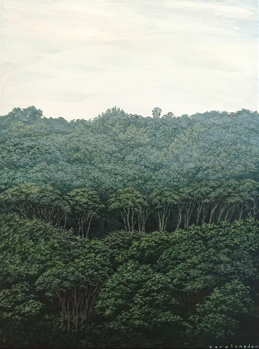 Iti Ngahere (Little Forest)