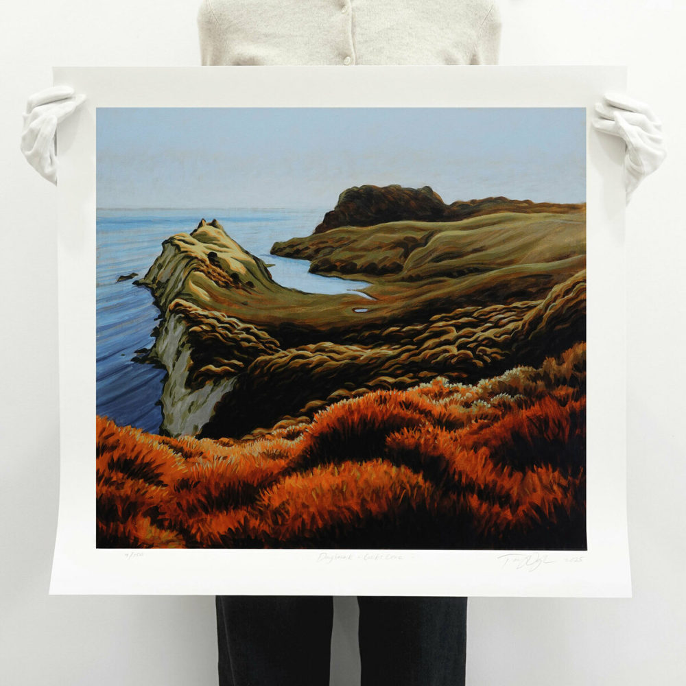 Daybreak - Cooks Cove