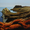 Daybreak - Cooks Cove
