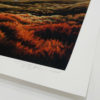 Daybreak - Cooks Cove