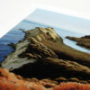 Daybreak - Cooks Cove