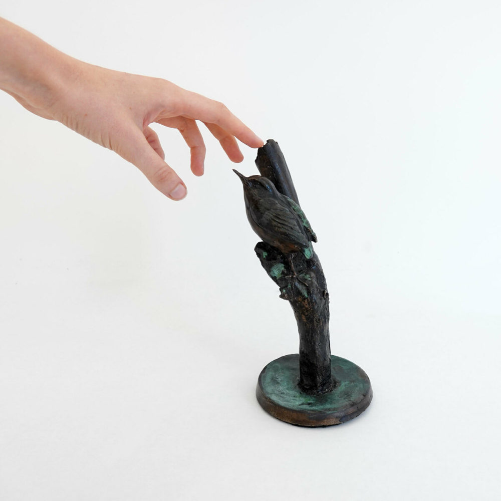 Rifleman / Tītipounamu