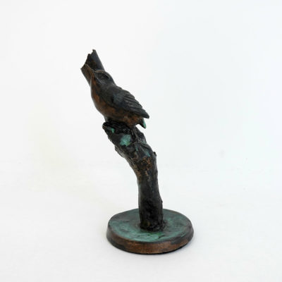 Rifleman / Tītipounamu