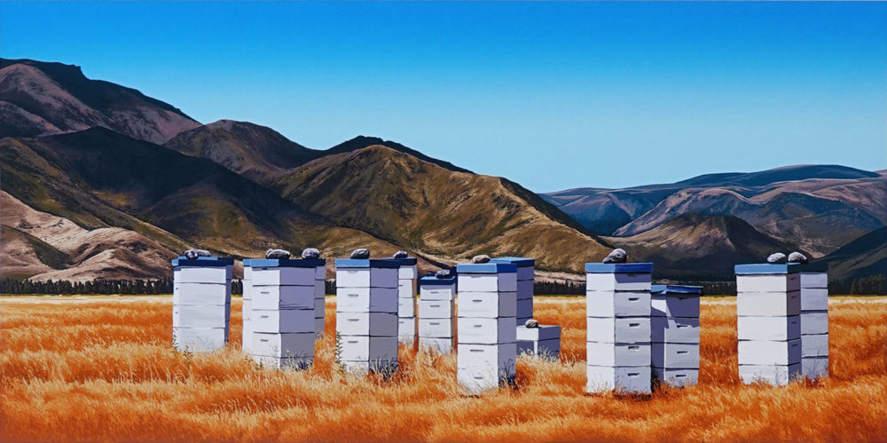 Beeboxes Omarama
