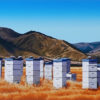 Beeboxes Omarama
