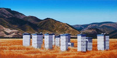 Beeboxes Omarama