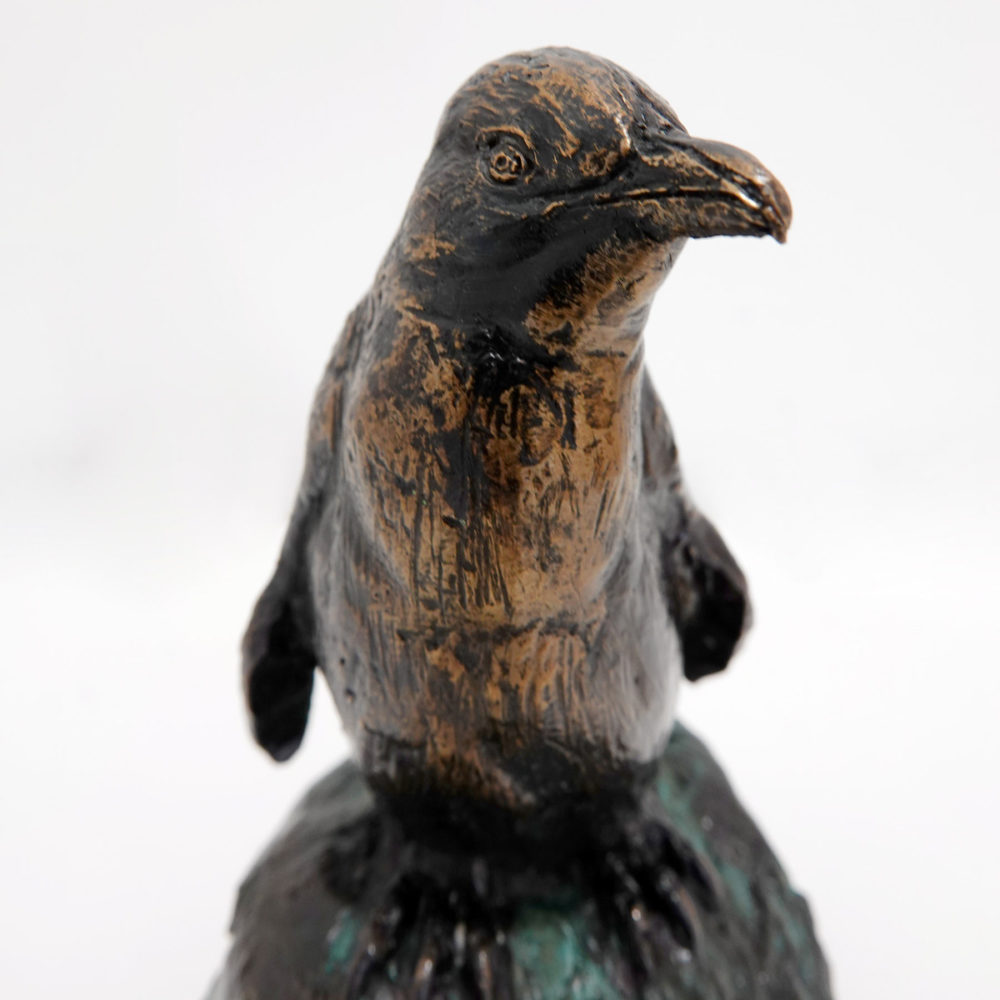 Little Blue Penguin / Kororā