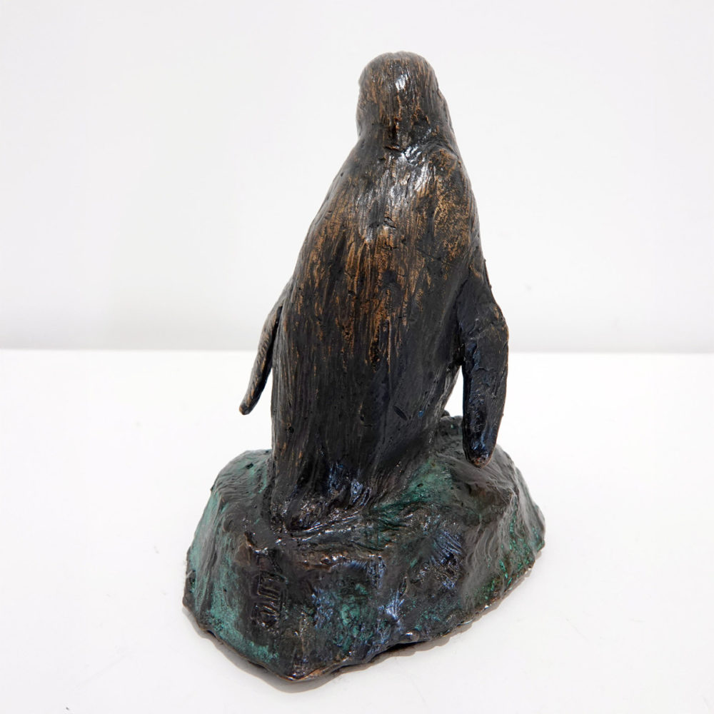 Little Blue Penguin / Kororā