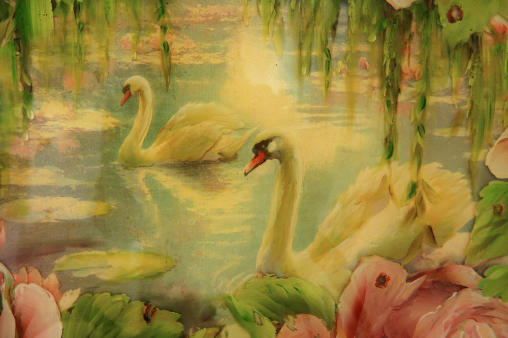 Swans & Roses