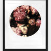 Dark Peonies