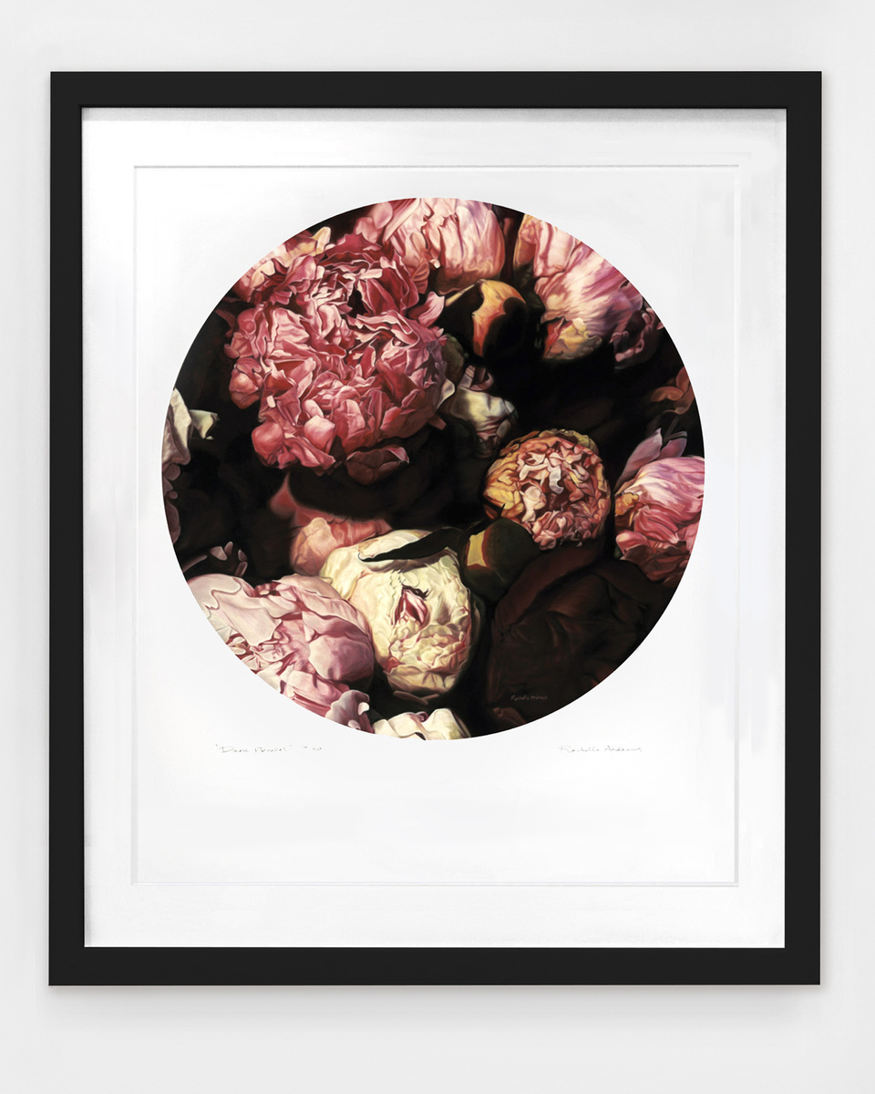 Dark Peonies