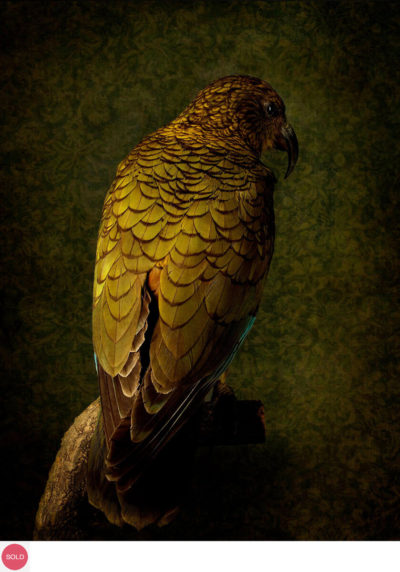 Kea No.2
