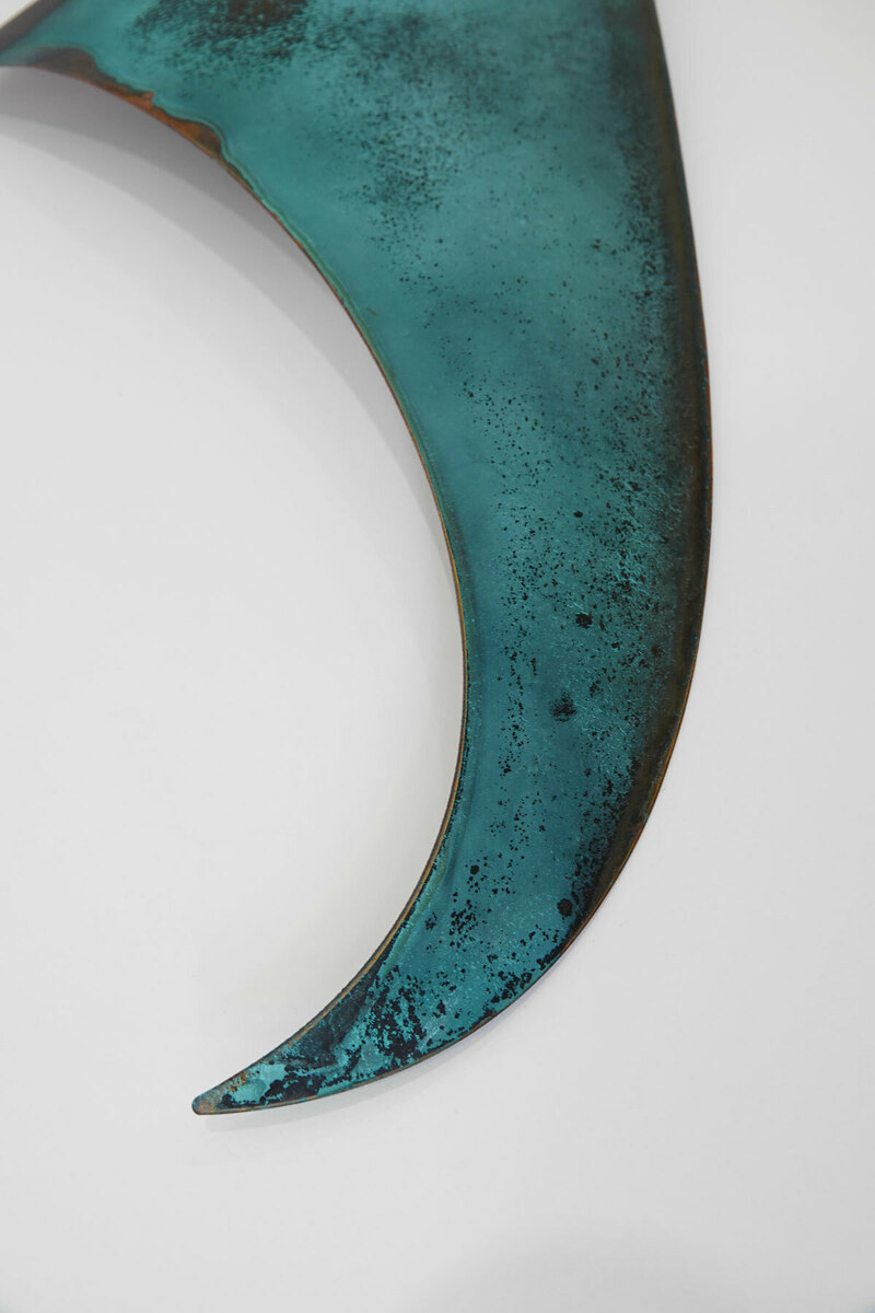 Orca Fin (Large)