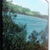 First Day of Summer on Rangitoto