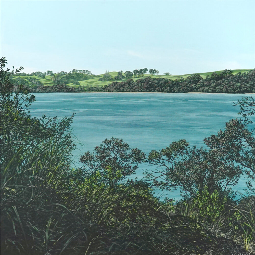 First Day of Summer on Rangitoto