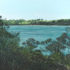 First Day of Summer on Rangitoto