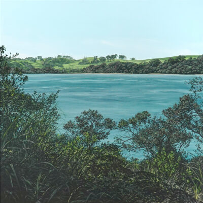 First Day of Summer on Rangitoto