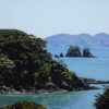 Urupukapuka Pohutukawa