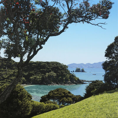 Urupukapuka Pohutakawa